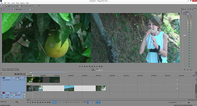review-sony-vegas-pro-13-trim